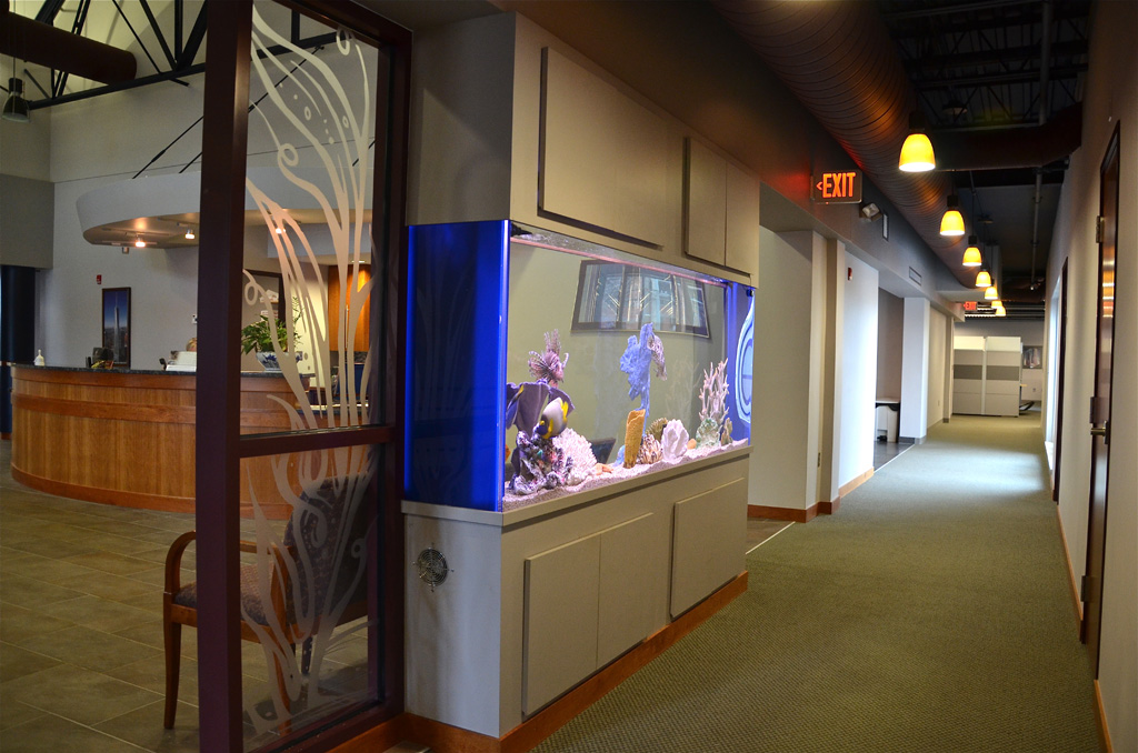 Medford, MA Boston Aquariums