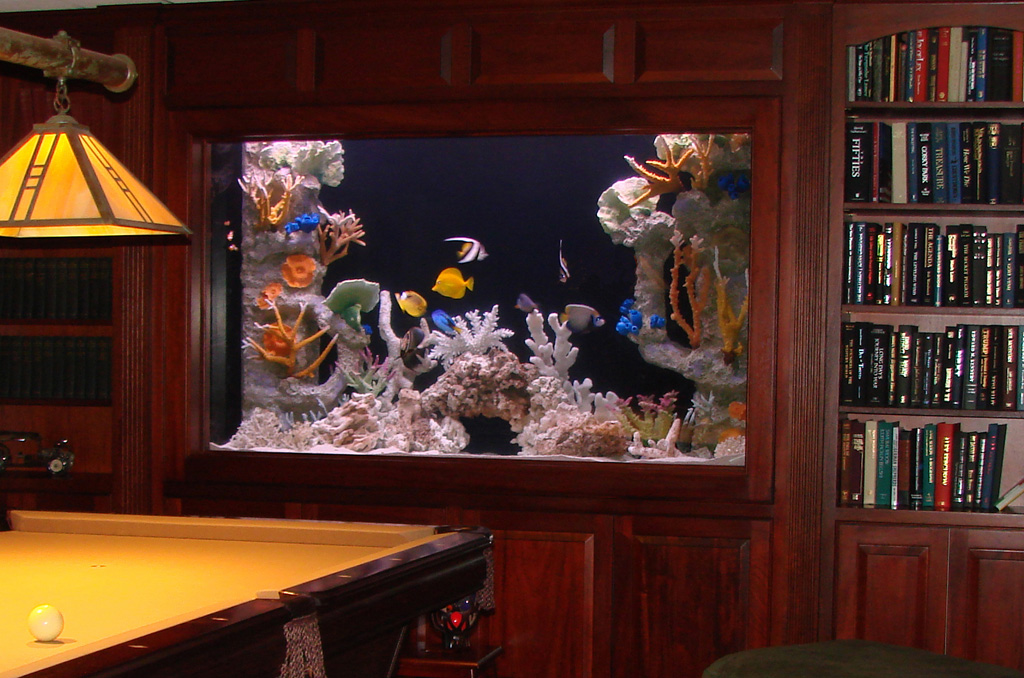 Dover, MA Boston Aquariums