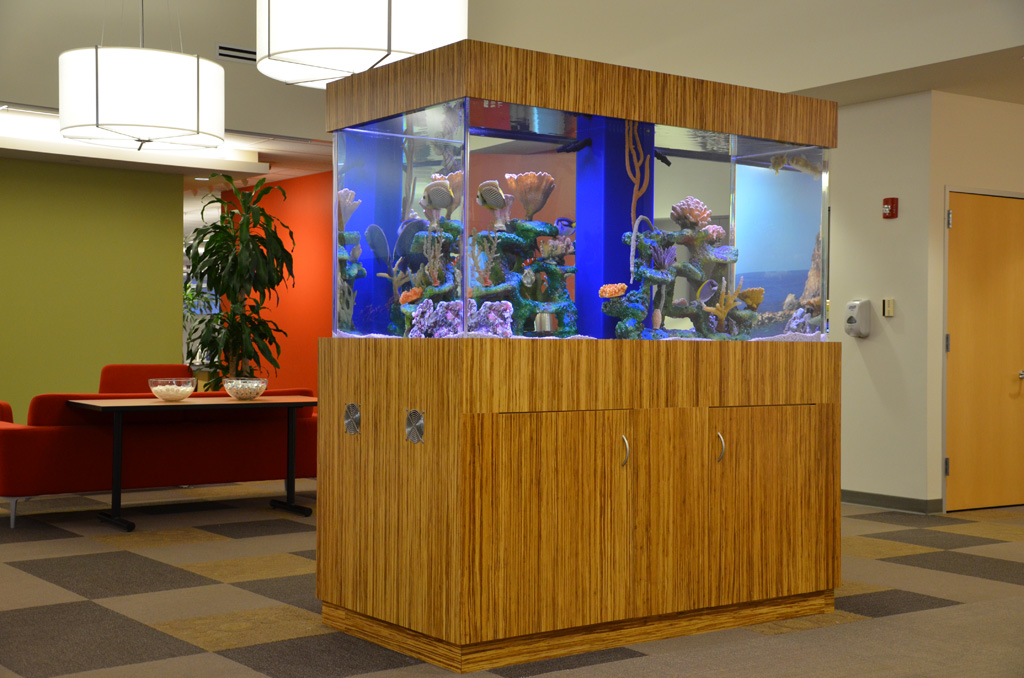 Newton, MA Boston Aquariums