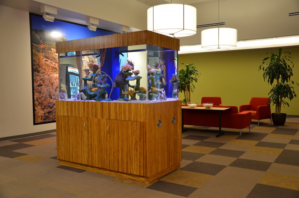 Aquariums in Corporate Environments Trip Advisor Spotlight Boston