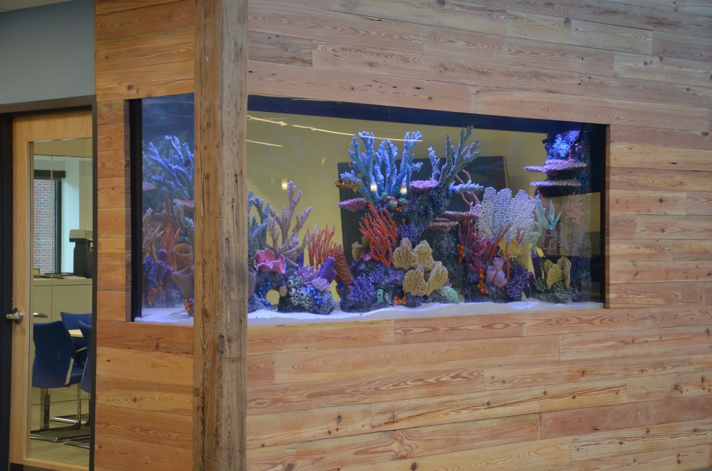 Cambridge, MA Boston Aquariums