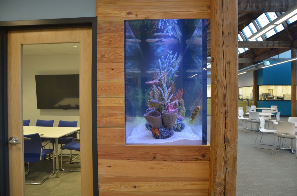 Cambridge, MA Boston Aquariums